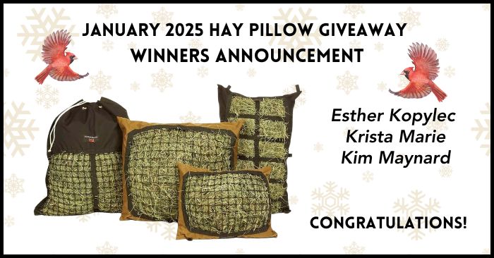 Hay Pillow Giveaway winners January 2025