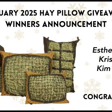 Hay Pillow Giveaway winners January 2025