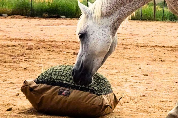 LV Oversize Horse Tail Bag