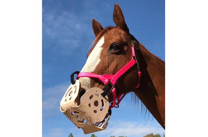 Grazing muzzle shop for horse